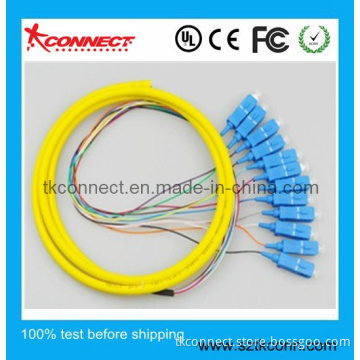 12 Core Round Type Sc/Upc Fiber Optical Pigtail